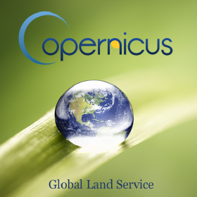 Copernicus Global Land