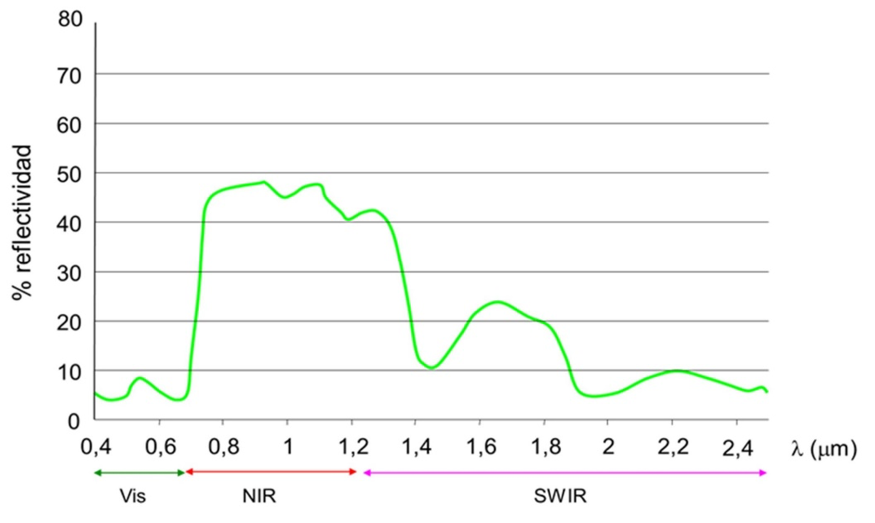 Firmas espectrales - Plan Nacional de Teledetección - PNT